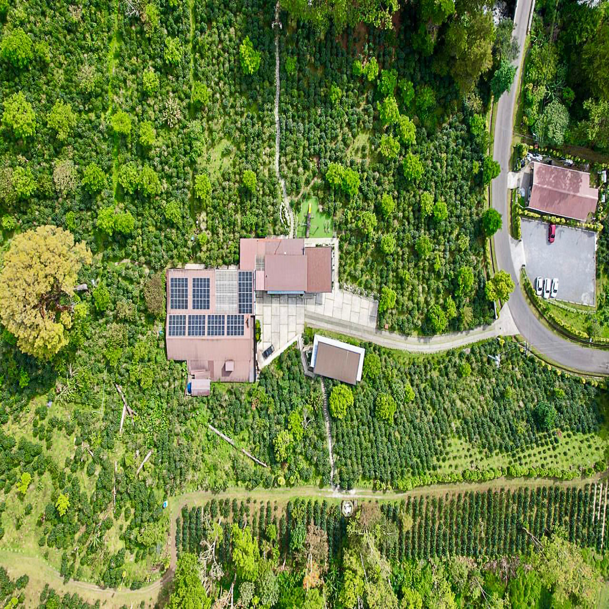 Aerial view of a house with solar panels surrounded by greenery
