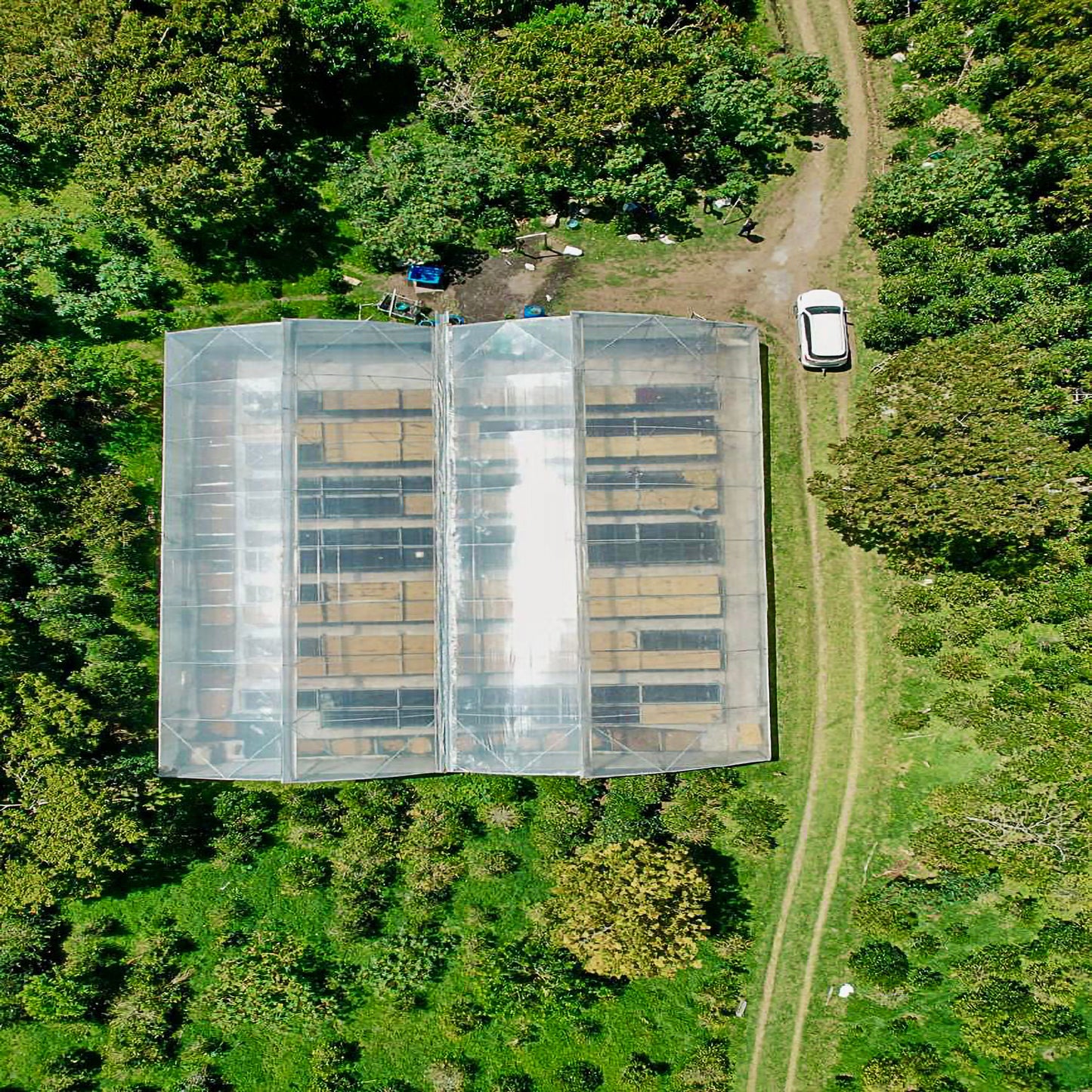 A large covered transparent drying room for freshly harvested coffee beans.