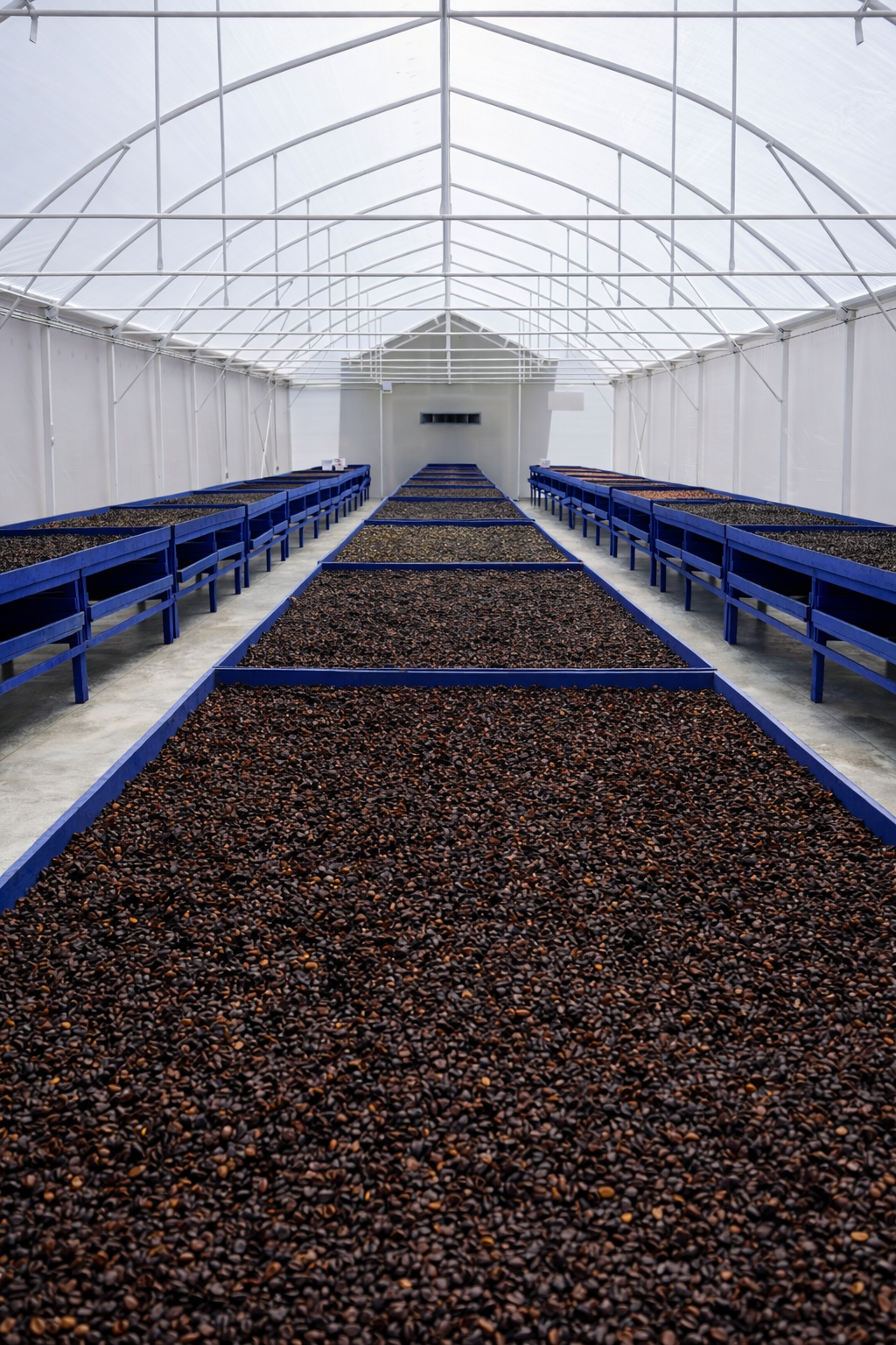 TAKARA Gesha — Mechanical Washed