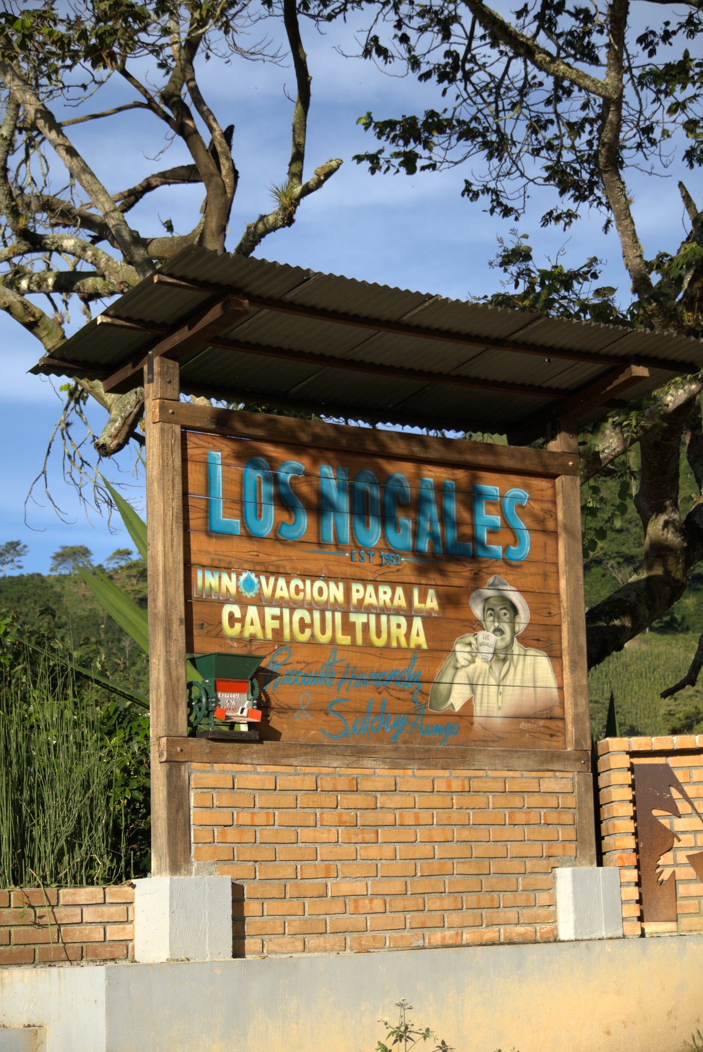 Los Nogales “Mossto” Mucilage EA Decaf