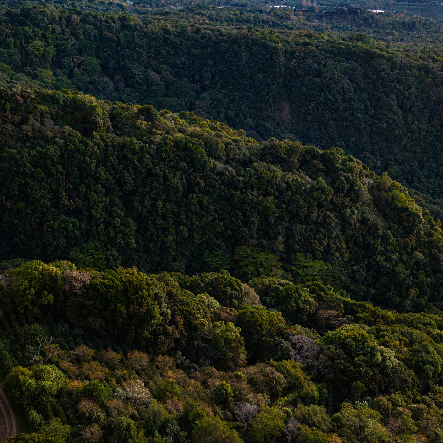 Hacienda Esmeralda SL34