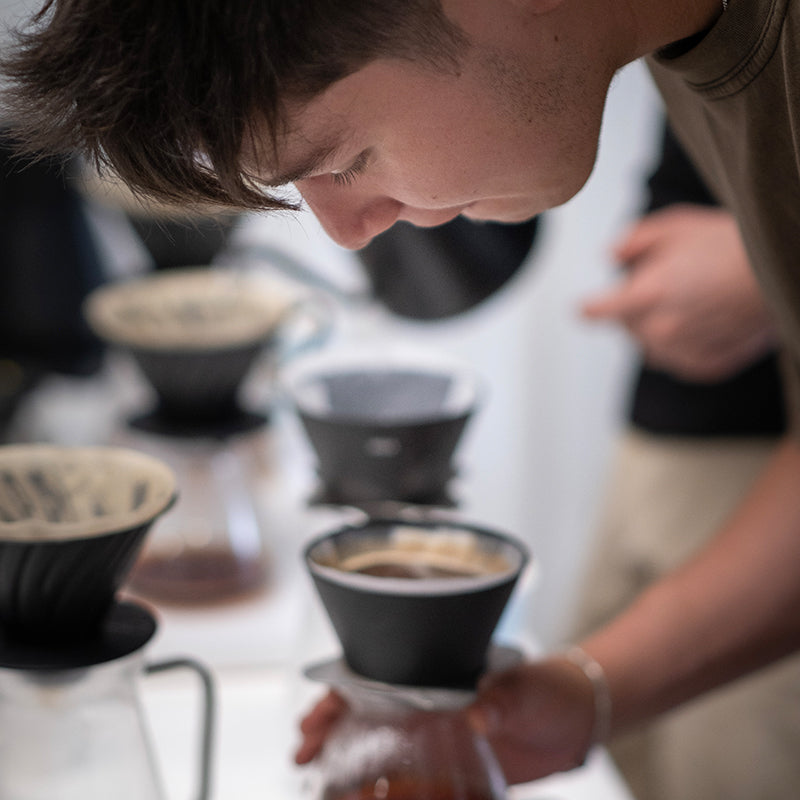 Jose Jijon Finca San Pedro Typica Mejorado Washed_3