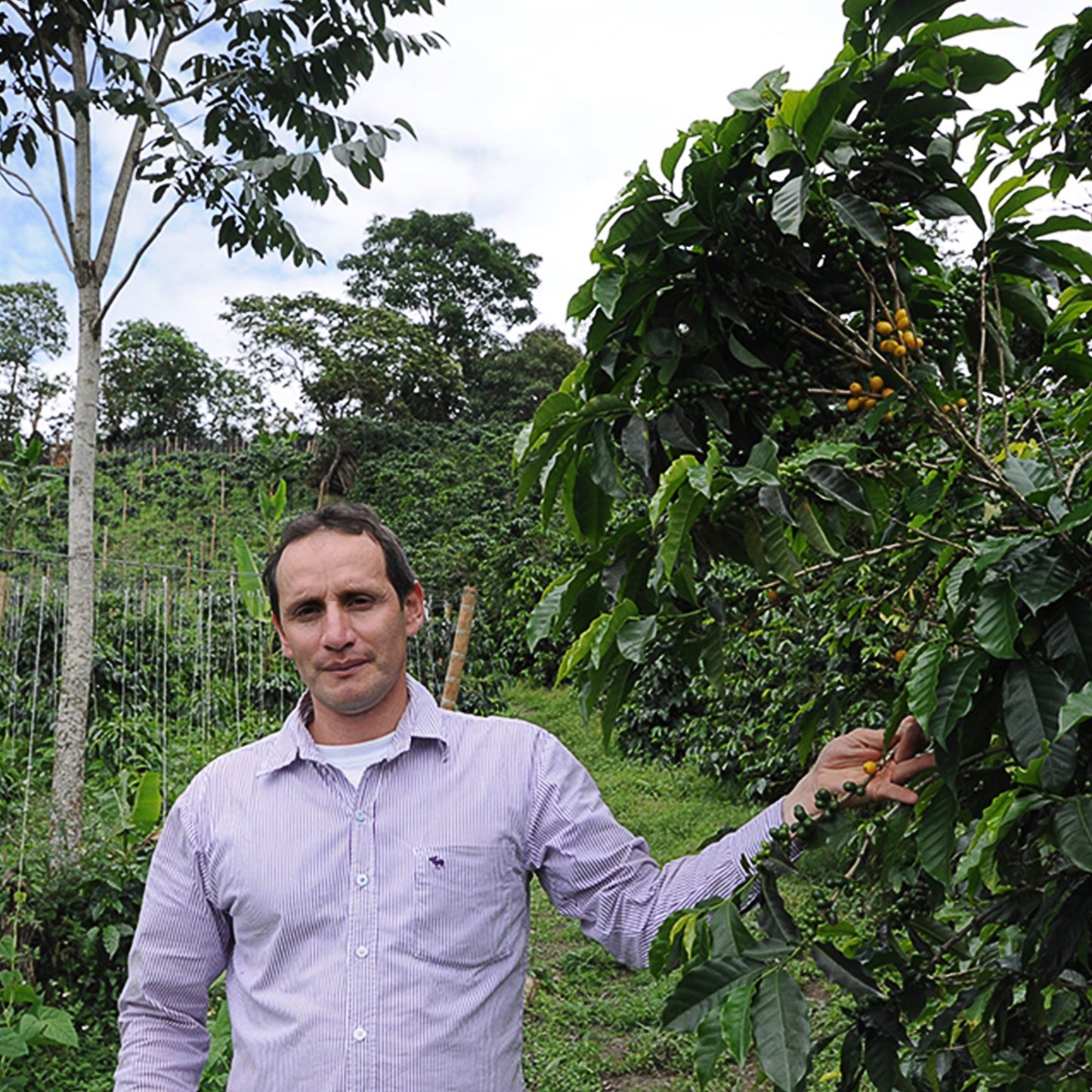 Linarco Rodriguez holding his Pink Bourbon coffee berries