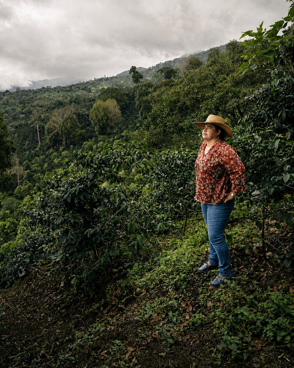 TNT Coffee Lab x Talamanca - Kefir · Geisha