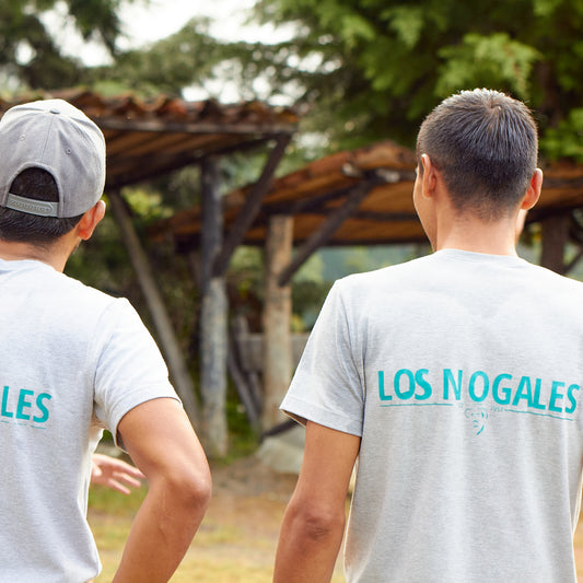 Nogales “Mossto” Mucilage EA Decaf