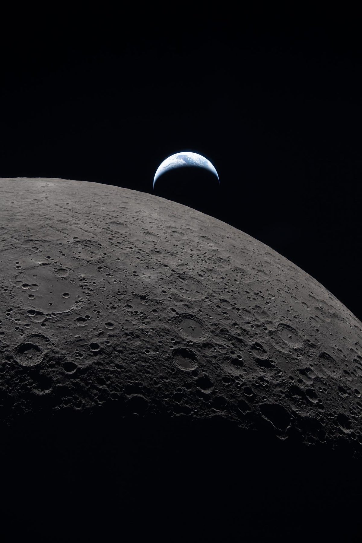 Black Moon - Sagittarius  · Geisha
