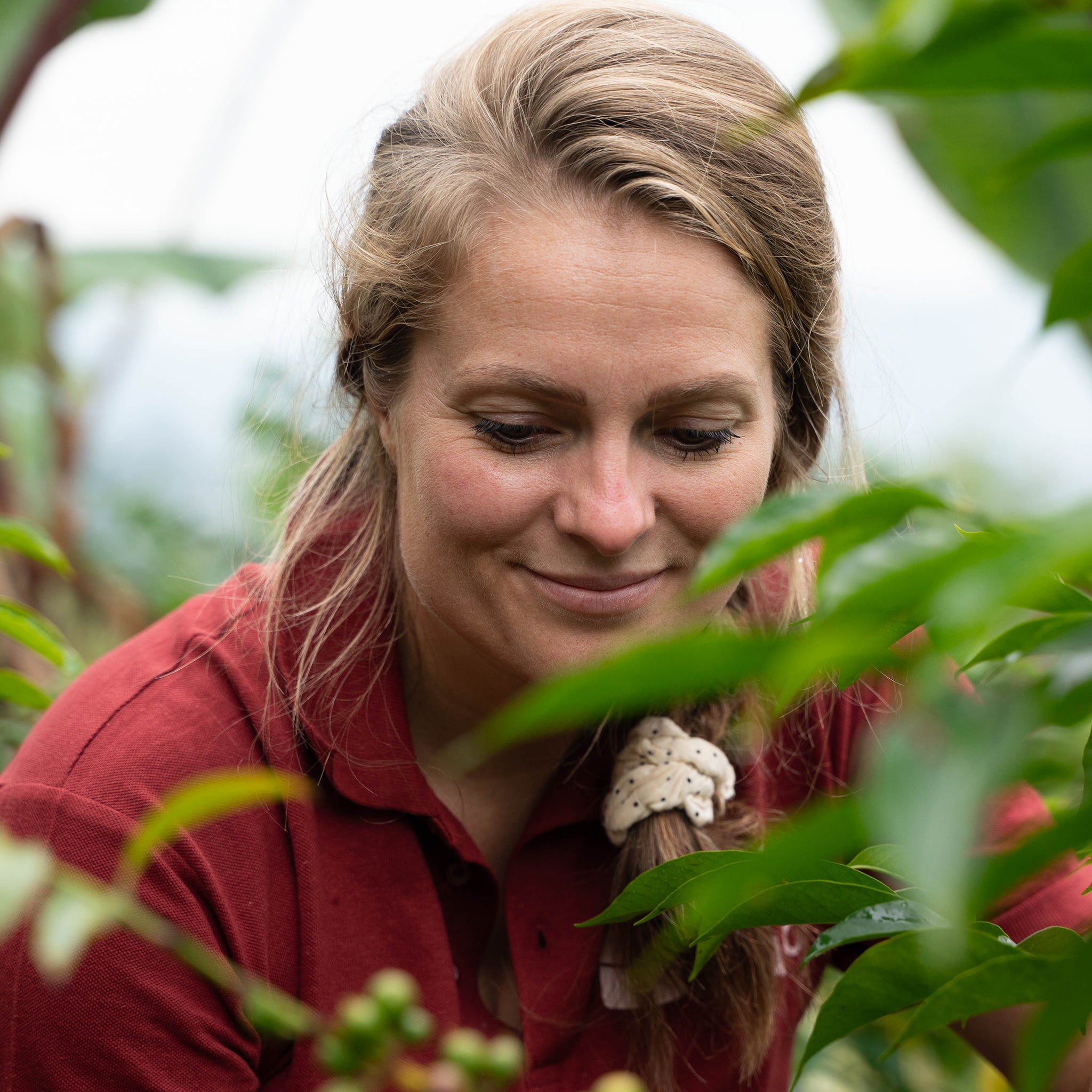 Photo of Natural Ethiopian
