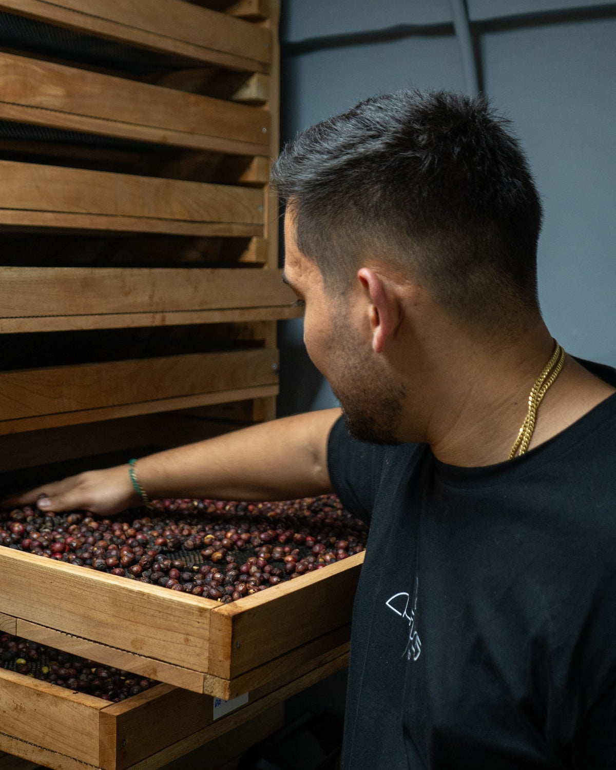 Chevas - Reactor Mosto · Geisha