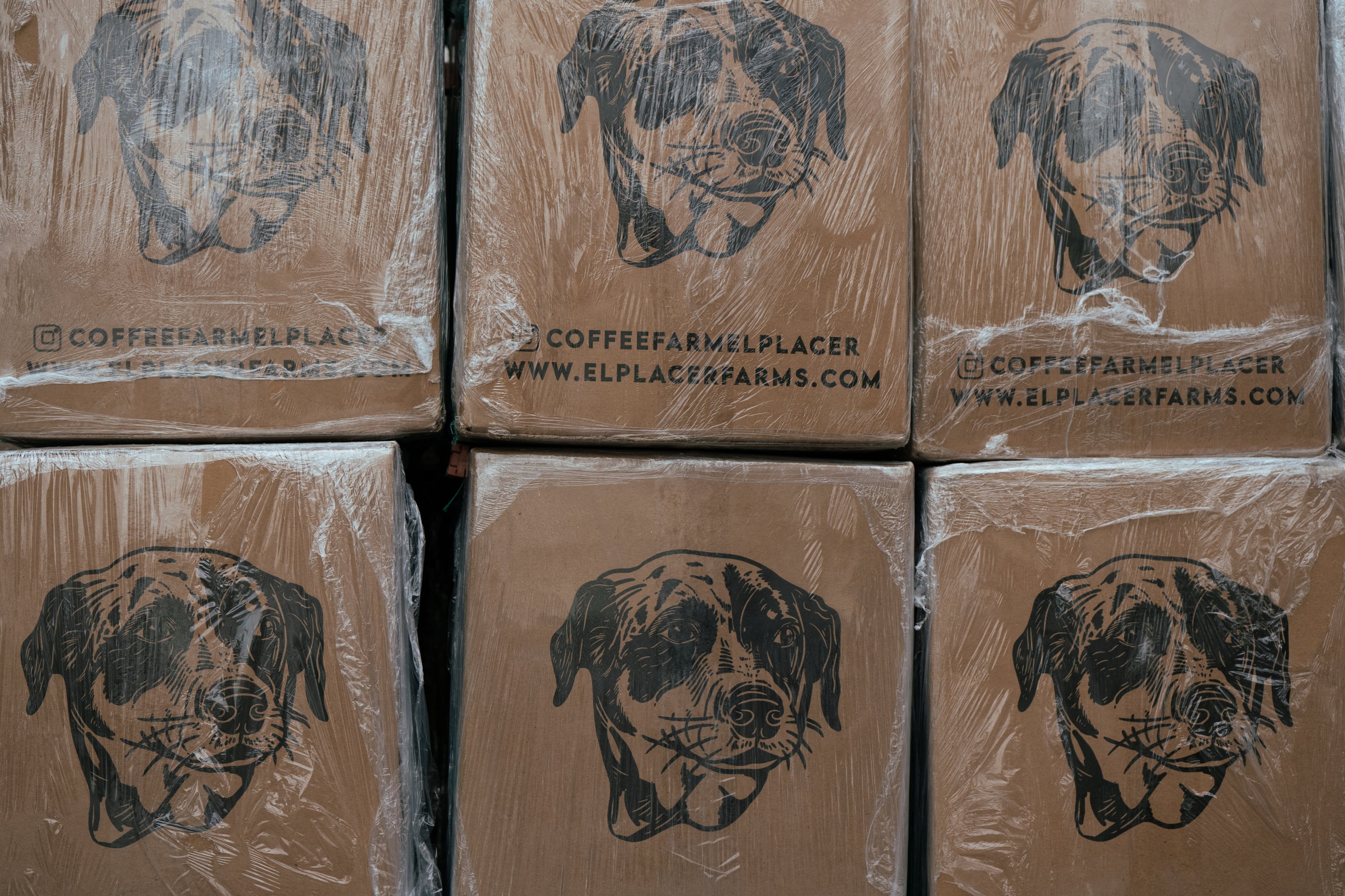Coffee boxes of El Placer farm 