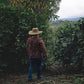 TNT Coffee Lab x Talamanca - Koji · Geisha