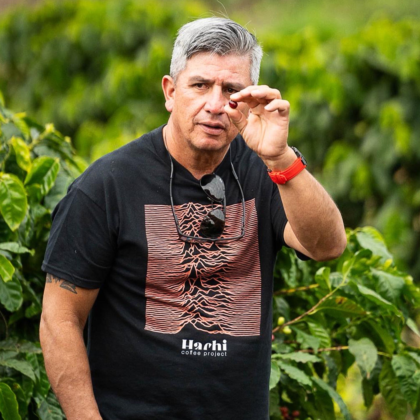 NINTAI (忍耐) GESHA