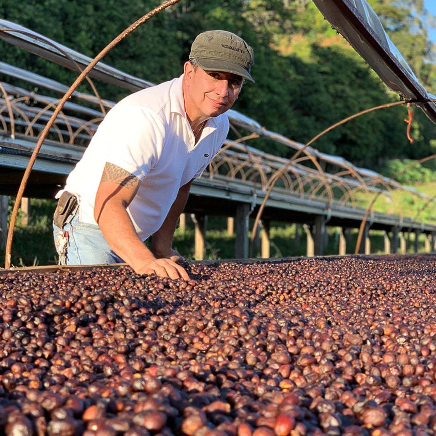 NINTAI (忍耐) GESHA