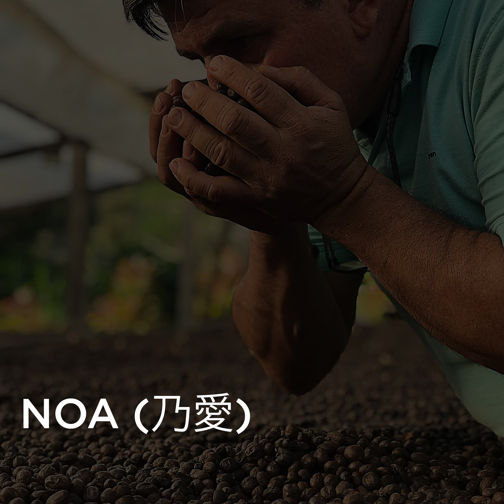 Photo of Hachi - Noa (乃愛) · Gesha