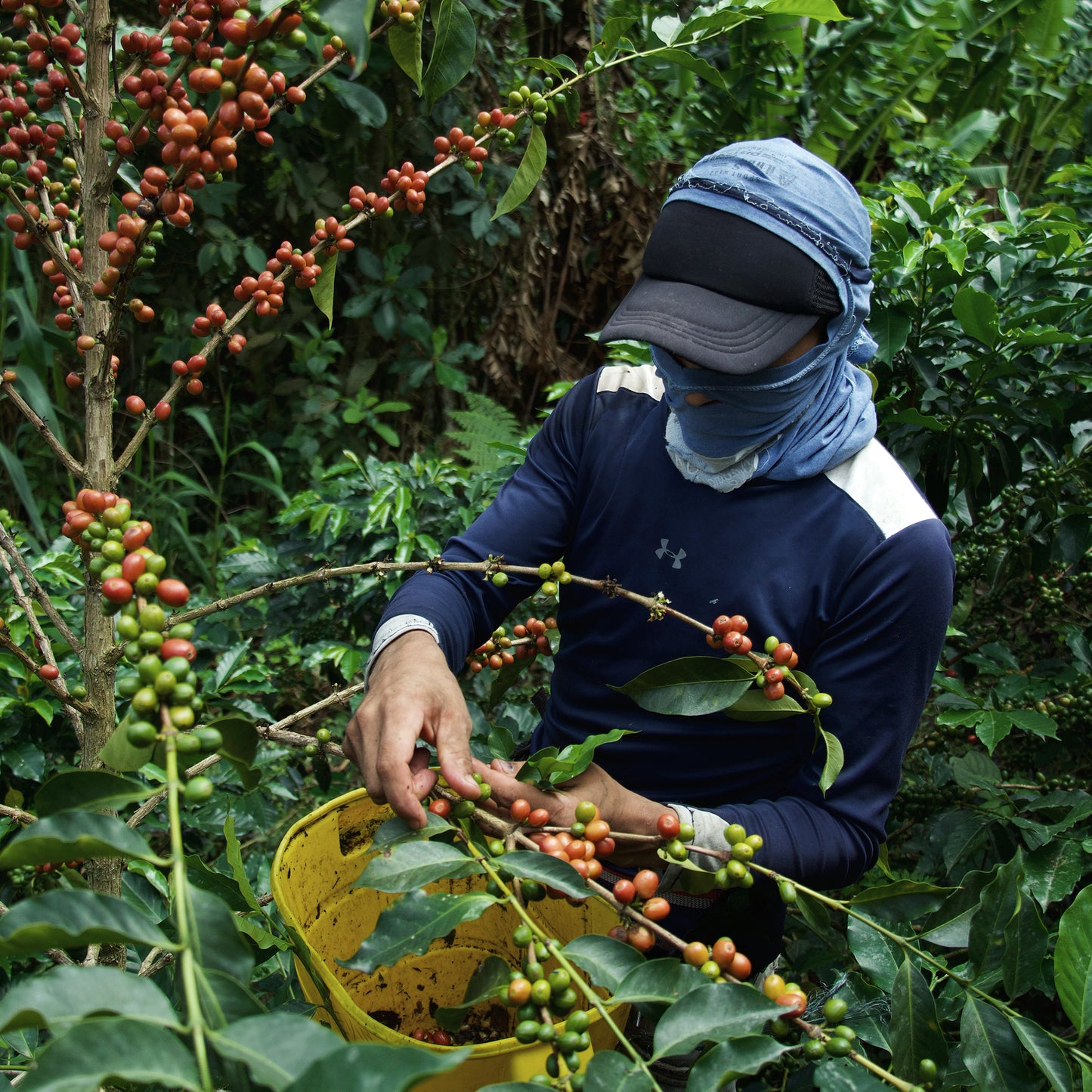 Orange Bourbon Blossom