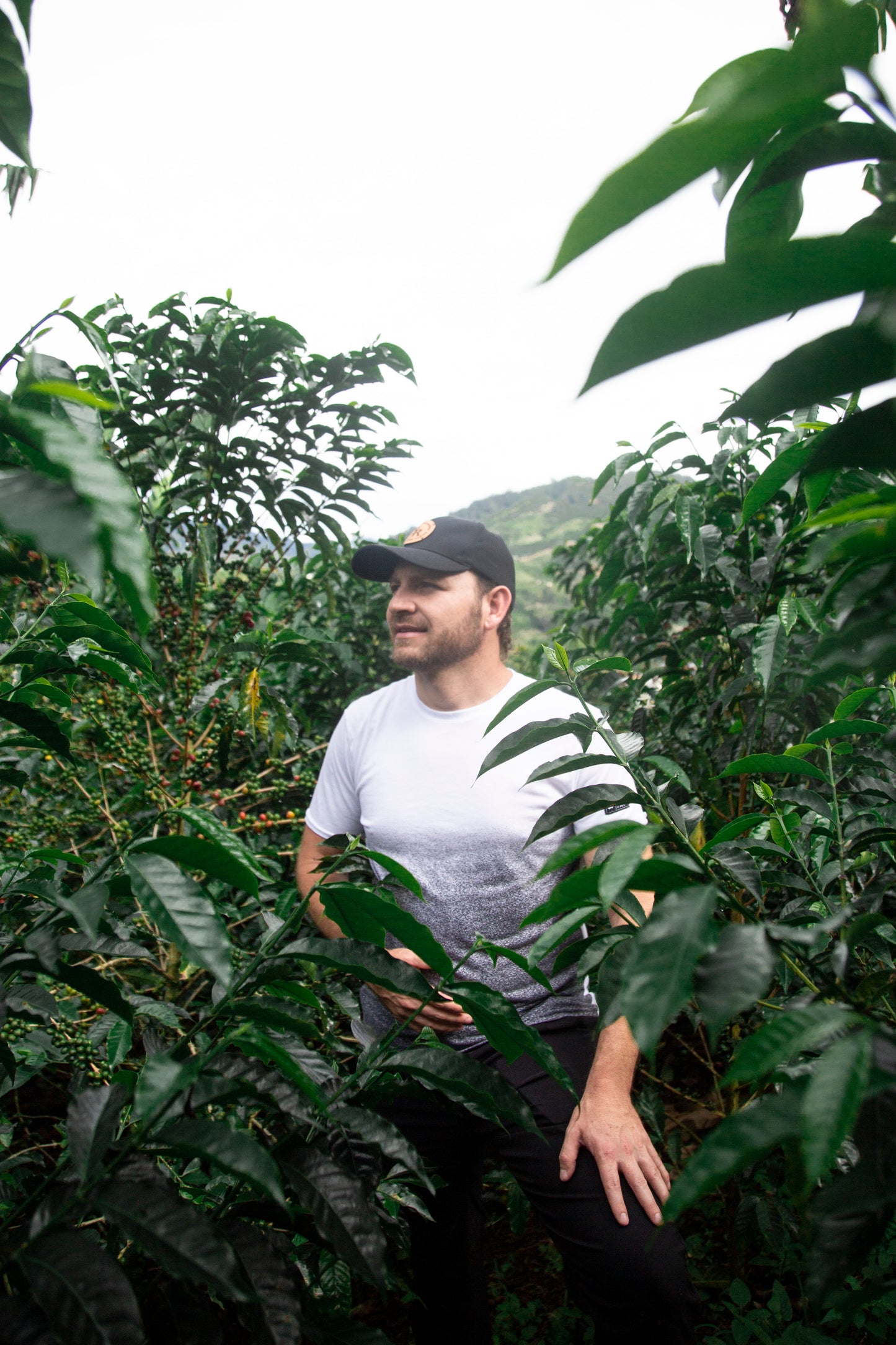 Sebastian Ramírez between El Placer Gesha coffee plants