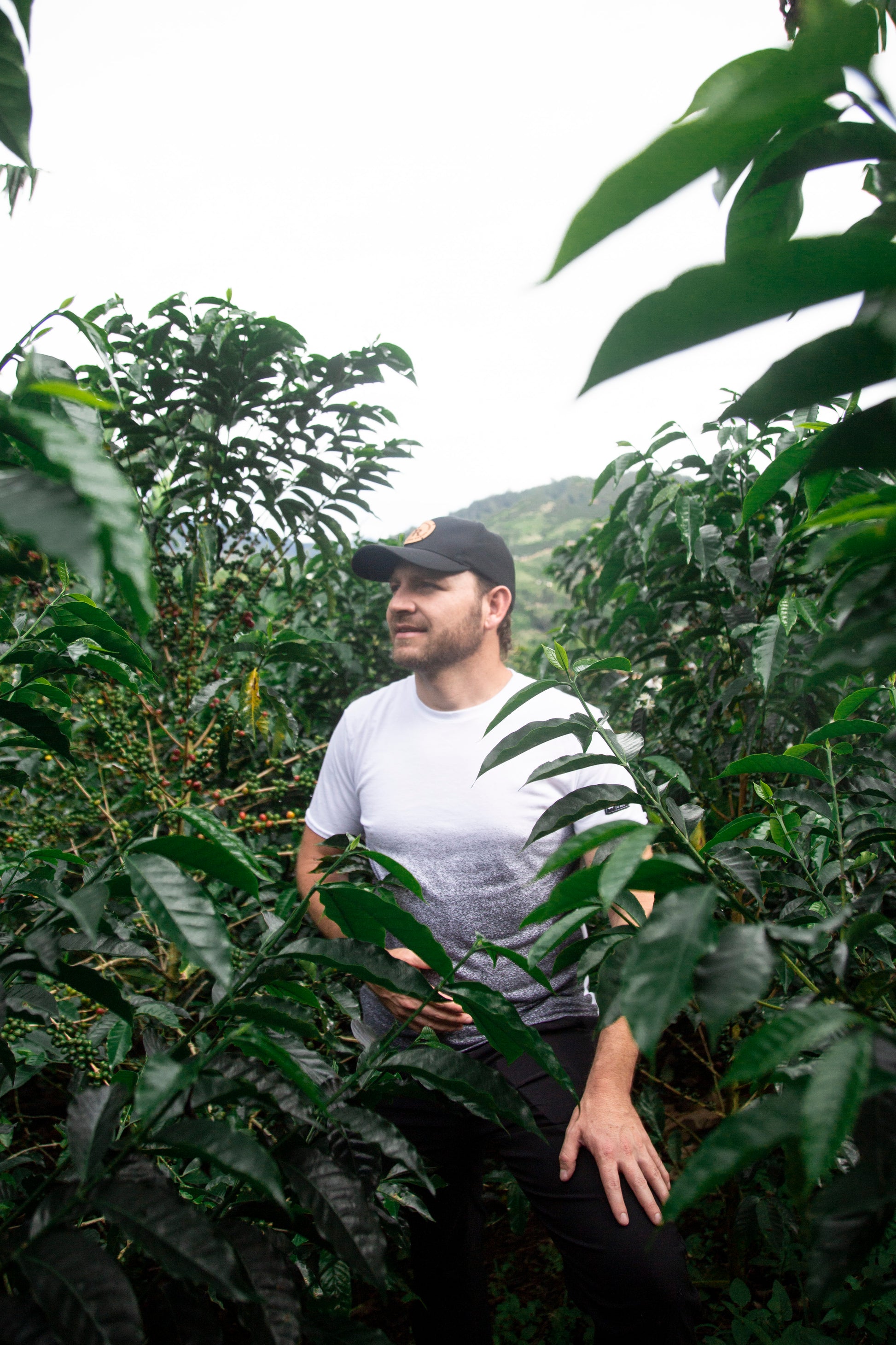 Sebastian Ramírez between El Placer Gesha coffee plants