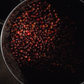TNT Coffee Lab · Auromar Estate · Geisha · Natural · Koji