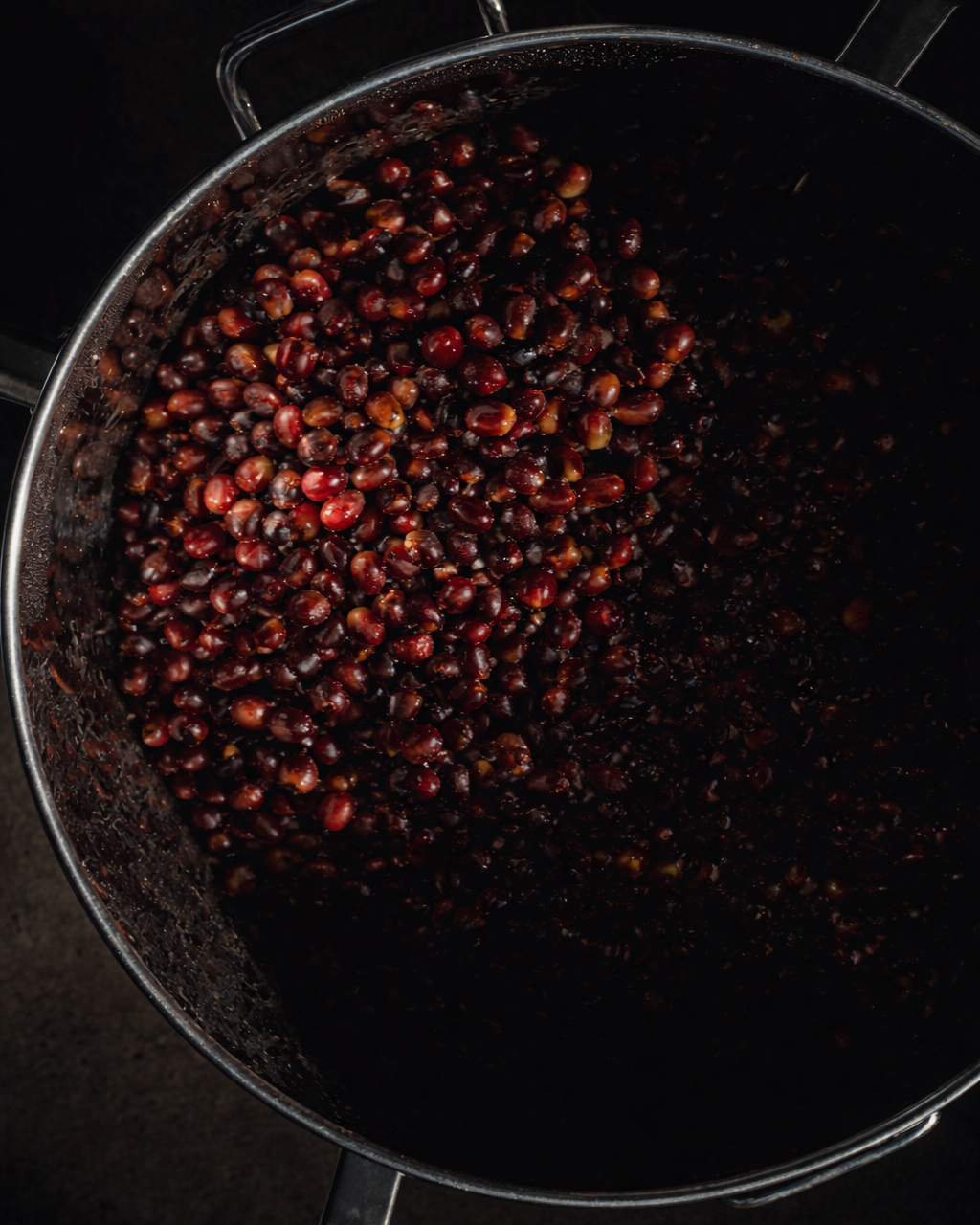 TNT Coffee Lab · Auromar Estate · Geisha · Natural · Koji