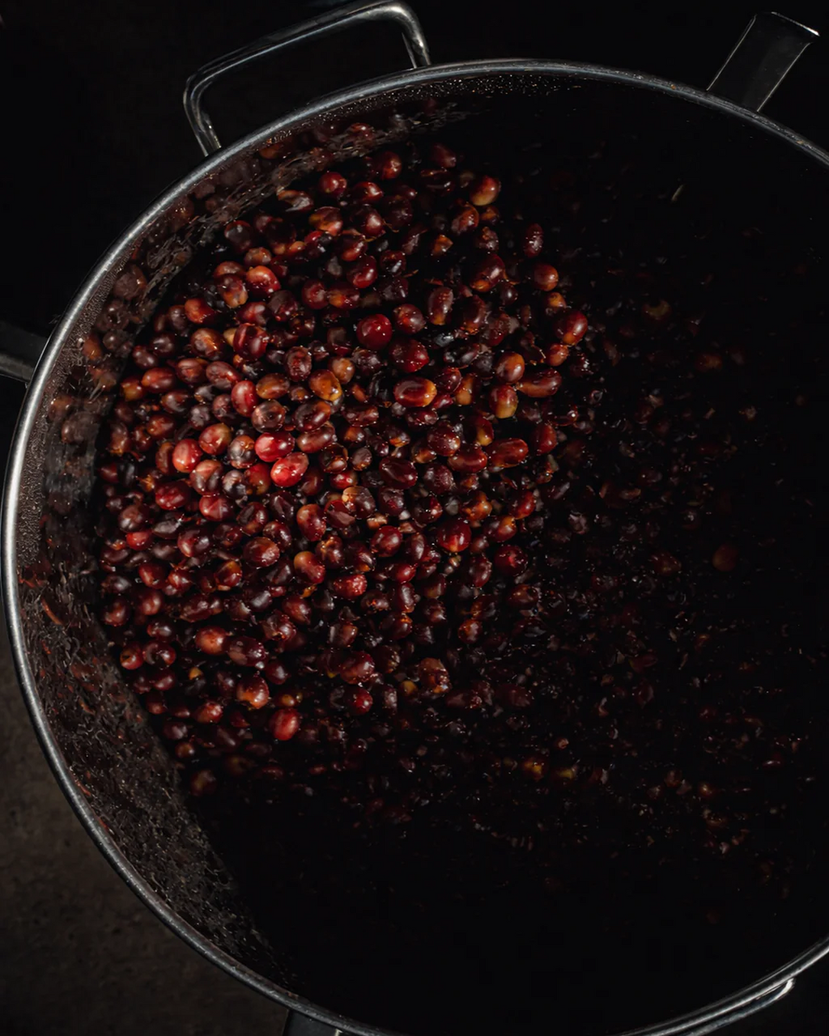 TNT Coffee Lab x MamaCata - Mosto · Geisha