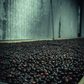 TNT Coffee Lab x MamaCata - Mosto · Geisha