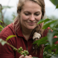 Hester Syoum inspecting unripe coffee cherries on the plant at Bette Buna, surrounded by foliage in natural field conditions
