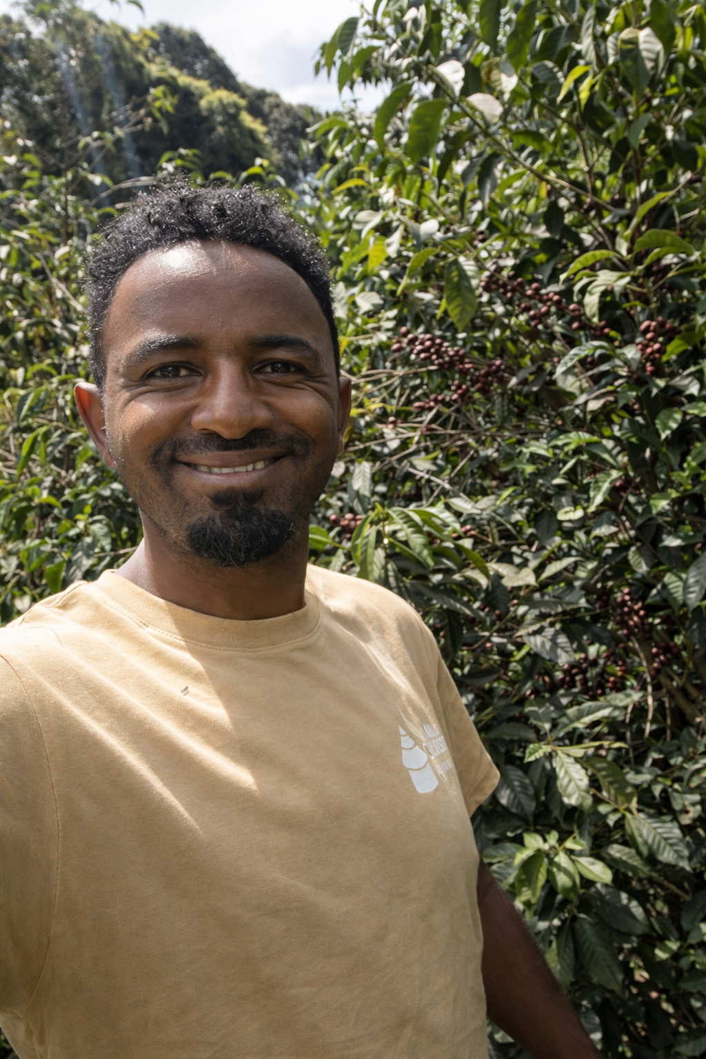 Dawit Syoum standing in a coffee plot at Bette Buna with ripe cherries visible on the plants behind him